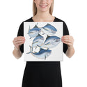 Blue Fin Tuna - Canvas Print